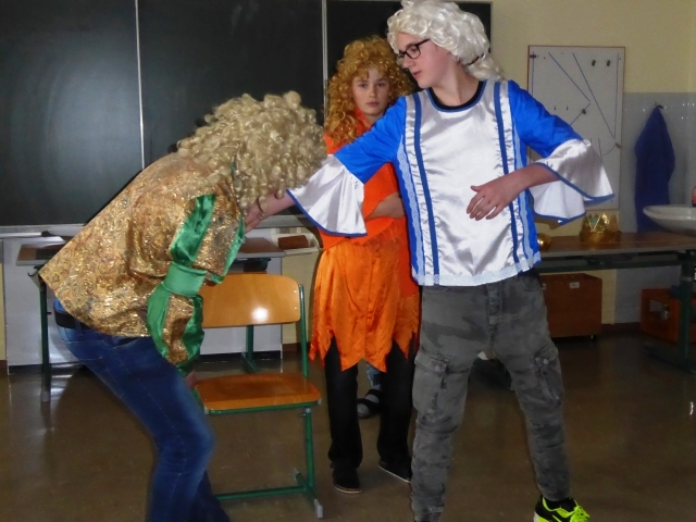 IBF Katze 2018 4