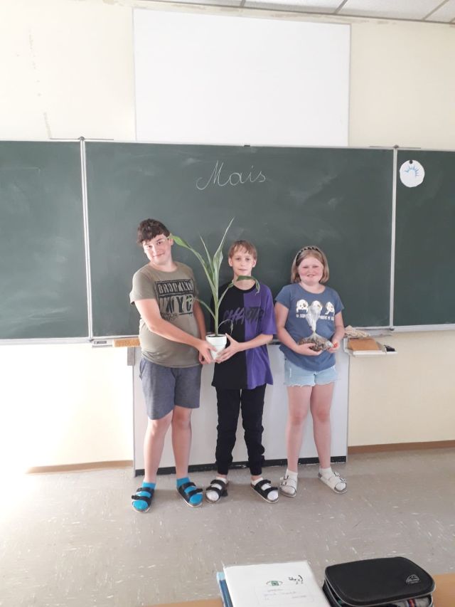 Foto Lebensmittel 1 k
