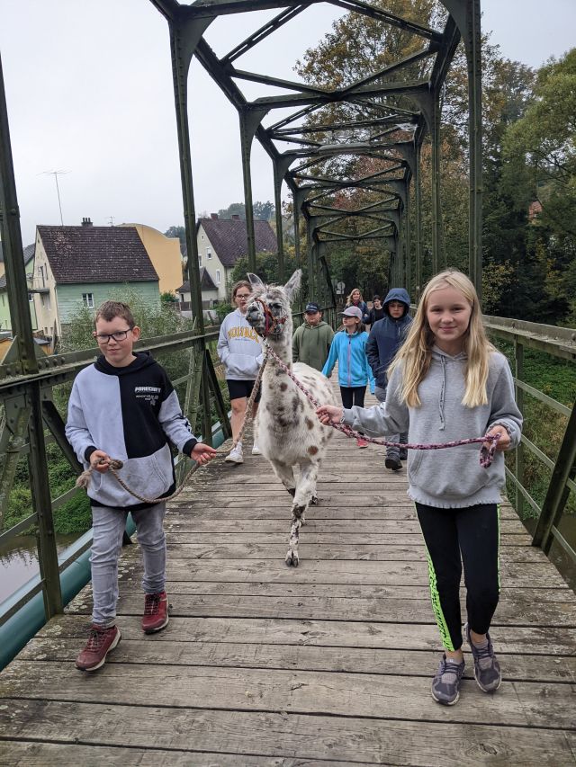 Lama 2 k